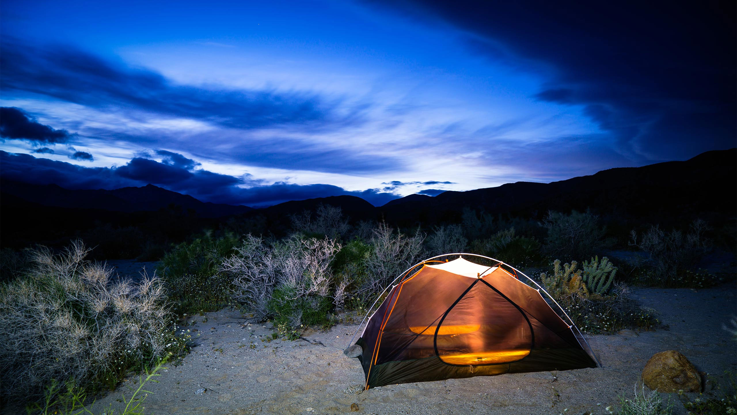 16+ Family Camping California